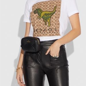 Coach Waist Bag